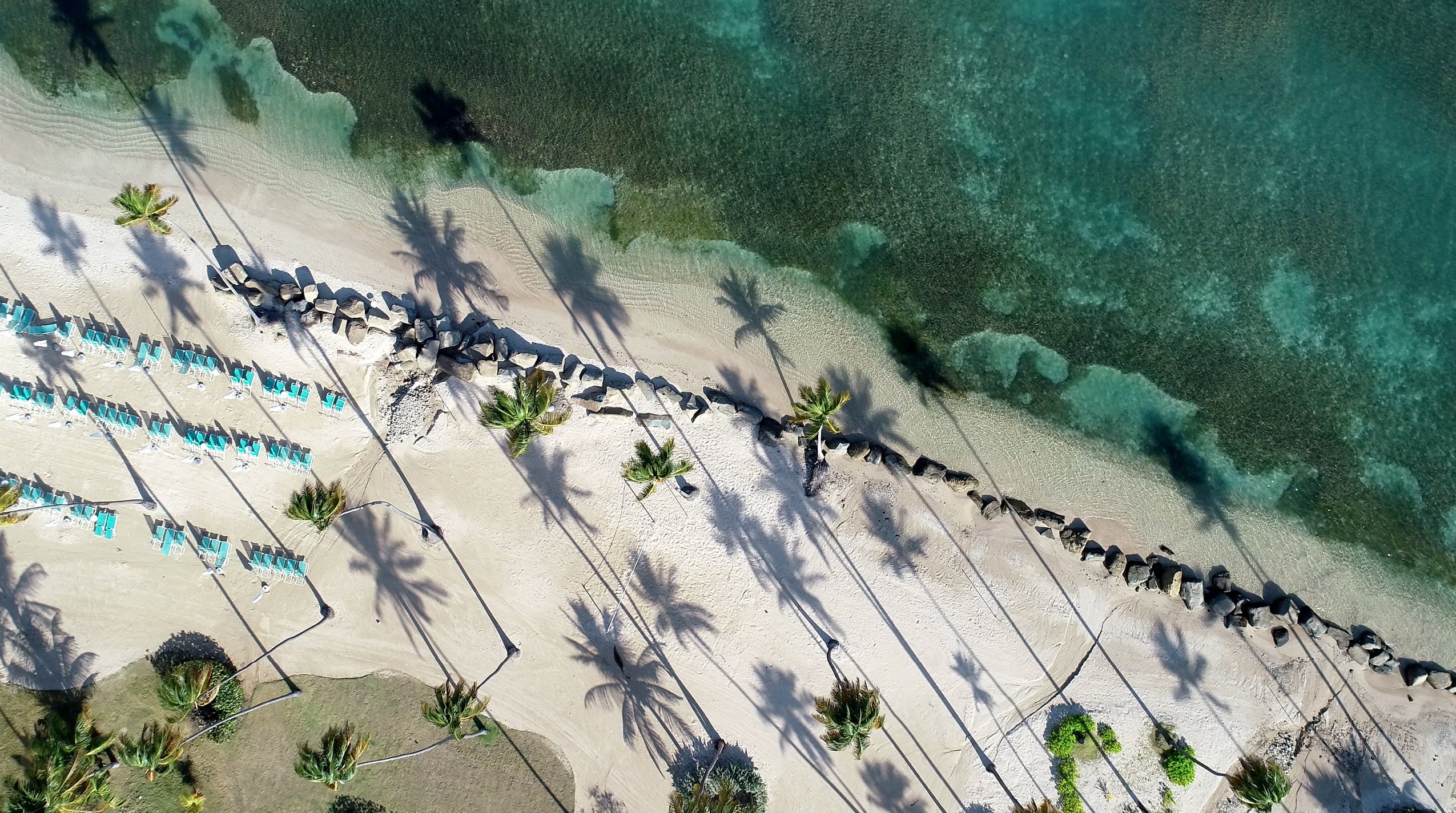 An aerial view of The Grand Reserve's private beach with crystal-clear waters, neatly arranged loungers under palm trees reflecting the resort's serene beachside luxury.