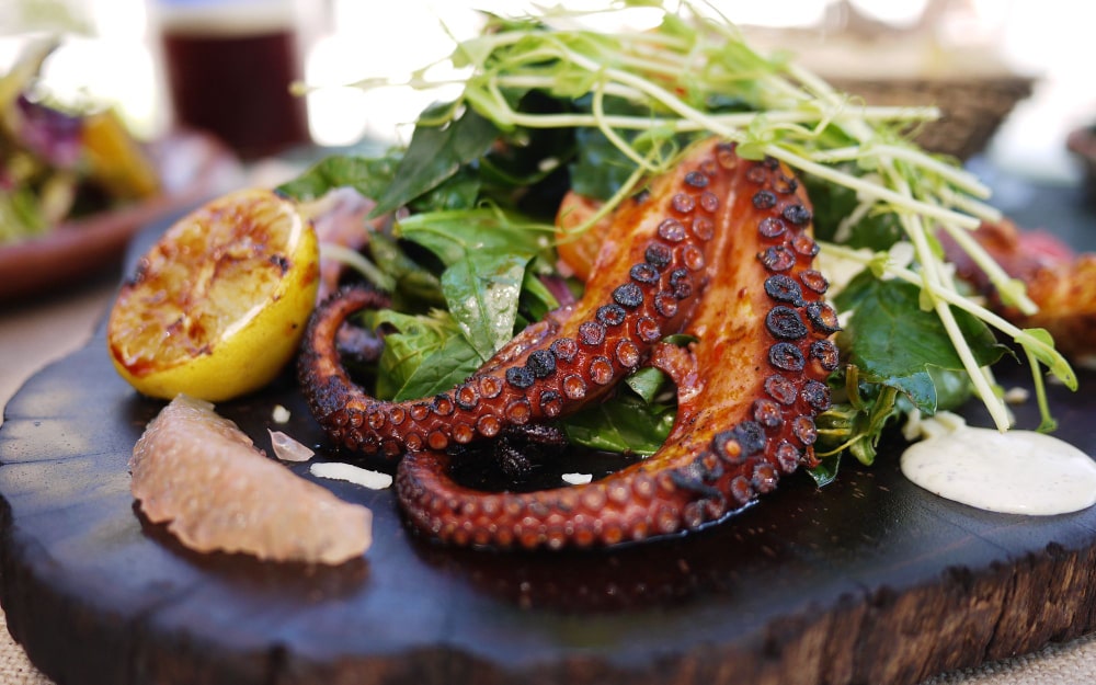 A gourmet dish served at Grand Reserve, featuring succulent grilled octopus over fresh greens, embodying the resort's culinary excellence